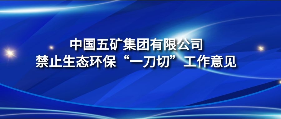 《中國(guó)五礦集團(tuán)有限公司禁止生態(tài)環(huán)?！耙坏肚小惫ぷ饕庖?jiàn)》
